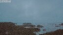 ./images/calvert/lookout/20250505/lookout20250505_214009M.jpg