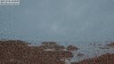 ./images/calvert/lookout/20250505/lookout20250505_214509M.jpg
