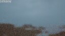 ./images/calvert/lookout/20250506/lookout20250506_051508M.jpg