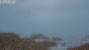 ./images/calvert/lookout/20250506/lookout20250506_052009M.jpg