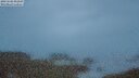 ./images/calvert/lookout/20250506/lookout20250506_052507M.jpg
