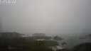 ./images/calvert/lookout/20250506/lookout20250506_111510M.jpg