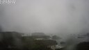 ./images/calvert/lookout/20250506/lookout20250506_113510M.jpg