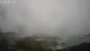./images/calvert/lookout/20250506/lookout20250506_115010M.jpg