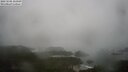 ./images/calvert/lookout/20250506/lookout20250506_121010M.jpg
