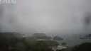 ./images/calvert/lookout/20250506/lookout20250506_124509M.jpg