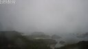 ./images/calvert/lookout/20250506/lookout20250506_135011M.jpg
