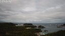 ./images/calvert/lookout/20250508/lookout20250508_101510M.jpg