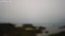 ./images/calvert/lookout/20250509/lookout20250509_081010M.jpg