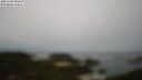 ./images/calvert/lookout/20250509/lookout20250509_085010M.jpg