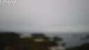 ./images/calvert/lookout/20250509/lookout20250509_091511M.jpg