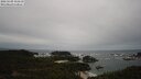 ./images/calvert/lookout/20250509/lookout20250509_111511M.jpg