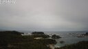 ./images/calvert/lookout/20250509/lookout20250509_113510M.jpg