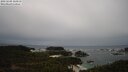 ./images/calvert/lookout/20250509/lookout20250509_124510M.jpg