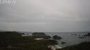 ./images/calvert/lookout/20250509/lookout20250509_132510M.jpg