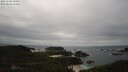 ./images/calvert/lookout/20250509/lookout20250509_143011M.jpg