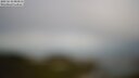 ./images/calvert/lookout/20250510/lookout20250510_081011M.jpg
