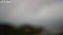 ./images/calvert/lookout/20250510/lookout20250510_092509M.jpg