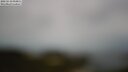 ./images/calvert/lookout/20250510/lookout20250510_094010M.jpg
