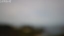 ./images/calvert/lookout/20250510/lookout20250510_103011M.jpg