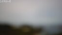 ./images/calvert/lookout/20250510/lookout20250510_104011M.jpg