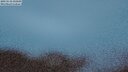 ./images/calvert/lookout/20250510/lookout20250510_215009M.jpg