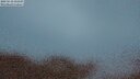 ./images/calvert/lookout/20250510/lookout20250510_215508M.jpg