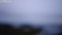./images/calvert/lookout/20250511/lookout20250511_060010M.jpg