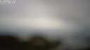 ./images/calvert/lookout/20250511/lookout20250511_074011M.jpg