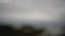 ./images/calvert/lookout/20250511/lookout20250511_074509M.jpg