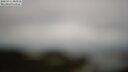 ./images/calvert/lookout/20250511/lookout20250511_081009M.jpg