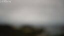 ./images/calvert/lookout/20250511/lookout20250511_082509M.jpg