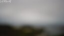 ./images/calvert/lookout/20250511/lookout20250511_083011M.jpg