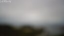 ./images/calvert/lookout/20250511/lookout20250511_083511M.jpg