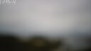 ./images/calvert/lookout/20250511/lookout20250511_084011M.jpg