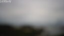 ./images/calvert/lookout/20250511/lookout20250511_084511M.jpg