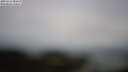 ./images/calvert/lookout/20250511/lookout20250511_085510M.jpg