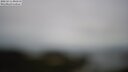 ./images/calvert/lookout/20250511/lookout20250511_090510M.jpg
