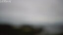 ./images/calvert/lookout/20250511/lookout20250511_091010M.jpg