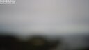 ./images/calvert/lookout/20250511/lookout20250511_092510M.jpg