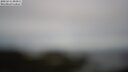 ./images/calvert/lookout/20250511/lookout20250511_093011M.jpg