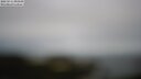 ./images/calvert/lookout/20250511/lookout20250511_093510M.jpg
