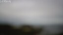 ./images/calvert/lookout/20250511/lookout20250511_094511M.jpg