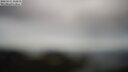 ./images/calvert/lookout/20250511/lookout20250511_112010M.jpg