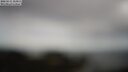 ./images/calvert/lookout/20250511/lookout20250511_113011M.jpg