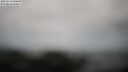 ./images/calvert/lookout/20250511/lookout20250511_115510M.jpg