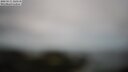 ./images/calvert/lookout/20250511/lookout20250511_120510M.jpg