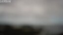 ./images/calvert/lookout/20250511/lookout20250511_122510M.jpg