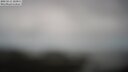 ./images/calvert/lookout/20250511/lookout20250511_123011M.jpg