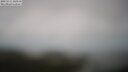 ./images/calvert/lookout/20250511/lookout20250511_123510M.jpg